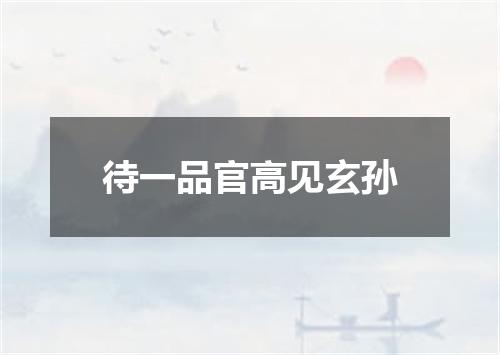 待一品官高见玄孙