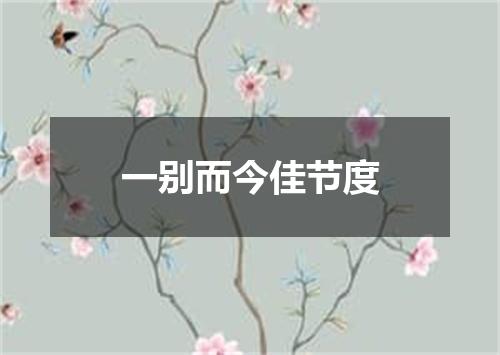一别而今佳节度