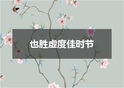 也胜虚度佳时节