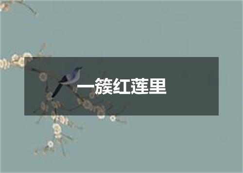 一簇红莲里