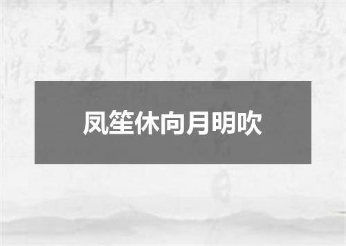 凤笙休向月明吹