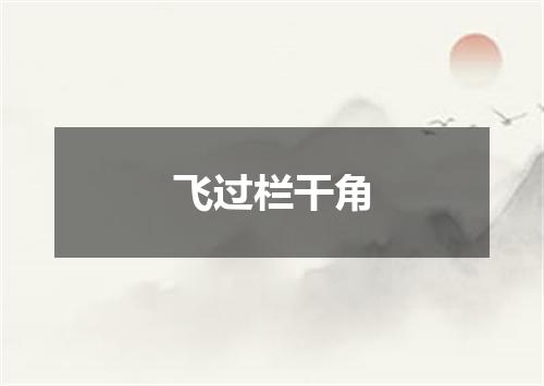 飞过栏干角