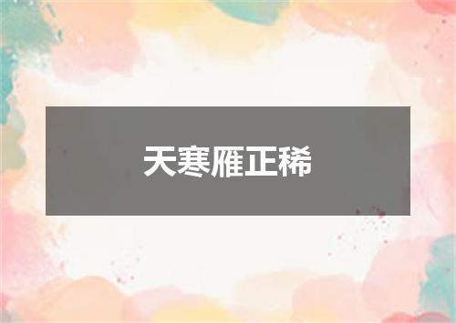 天寒雁正稀