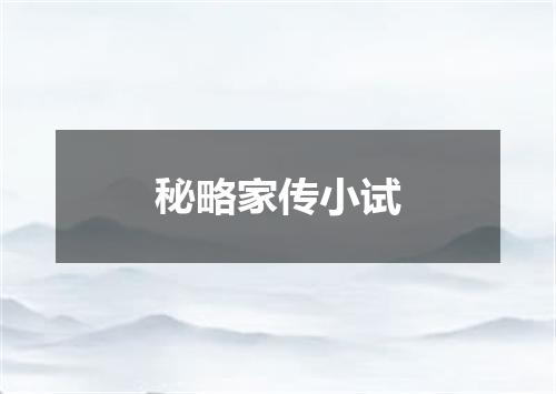 秘略家传小试