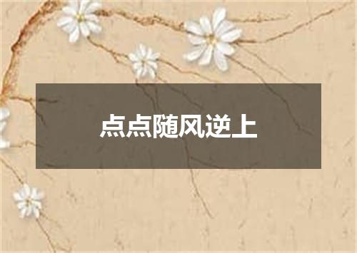 点点随风逆上