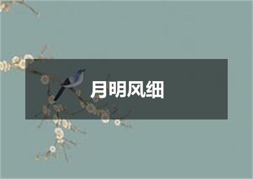 月明风细