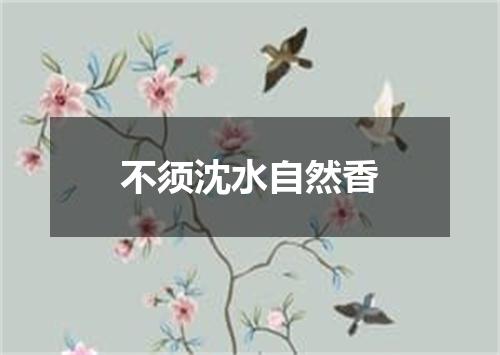 不须沈水自然香