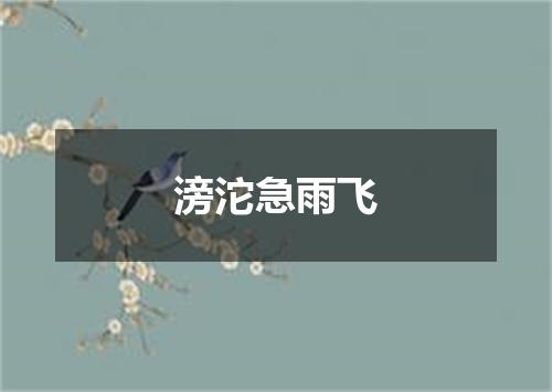 滂沱急雨飞