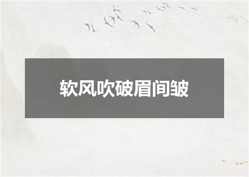 软风吹破眉间皱