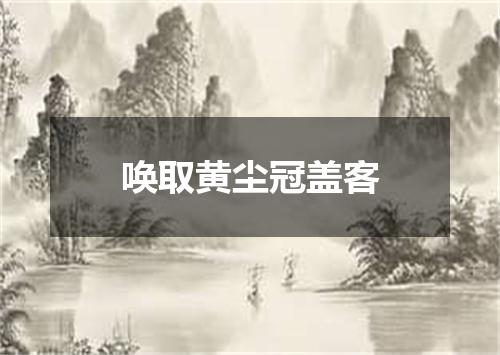 唤取黄尘冠盖客