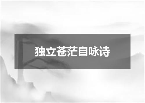 独立苍茫自咏诗