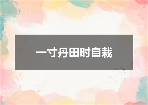 一寸丹田时自栽