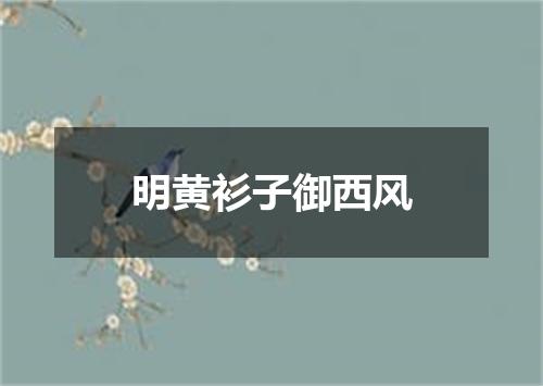 明黄衫子御西风