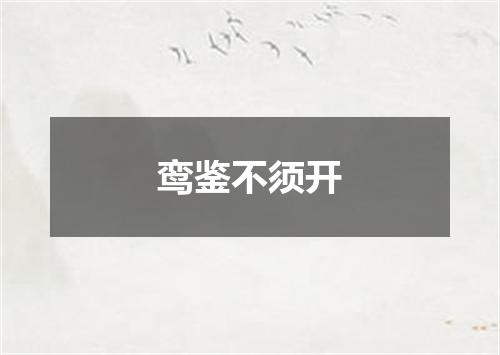 鸾鉴不须开