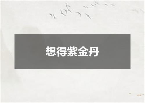 想得紫金丹