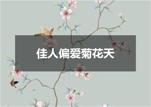 佳人偏爱菊花天