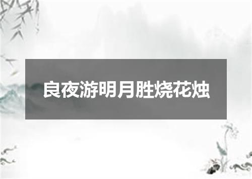 良夜游明月胜烧花烛