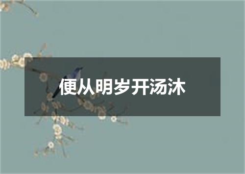 便从明岁开汤沐