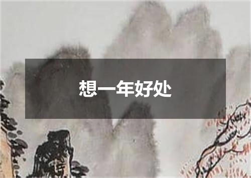 想一年好处
