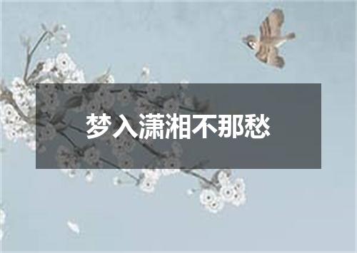 梦入潇湘不那愁