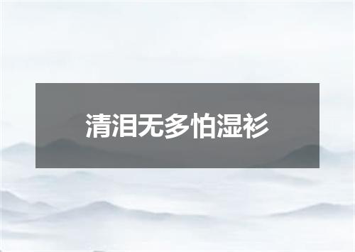 清泪无多怕湿衫