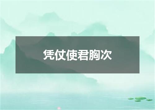 凭仗使君胸次