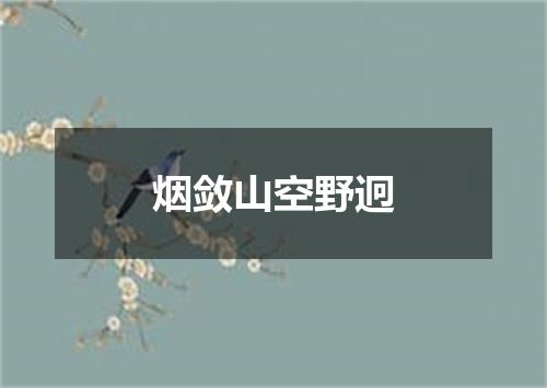 烟敛山空野迥