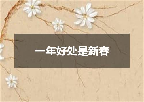 一年好处是新春