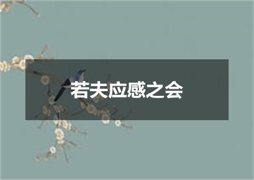 若夫应感之会