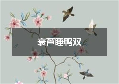 衰芦睡鸭双