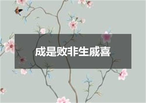 成是败非生戚喜