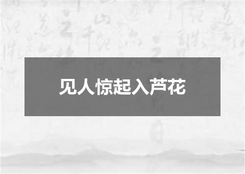 见人惊起入芦花