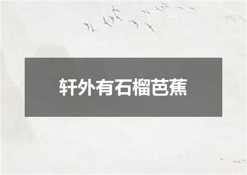 轩外有石榴芭蕉