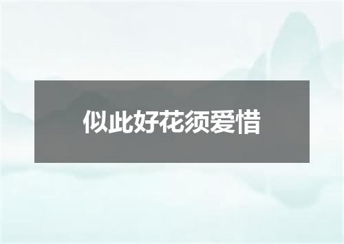 似此好花须爱惜