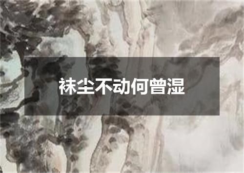 袜尘不动何曾湿