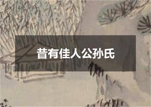 昔有佳人公孙氏