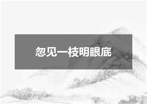 忽见一枝明眼底