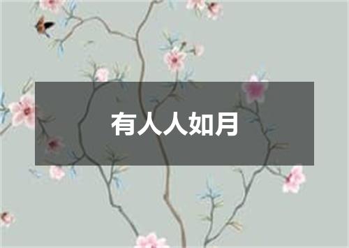 有人人如月