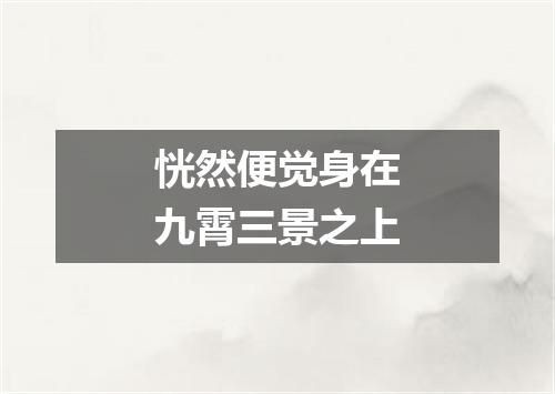 恍然便觉身在九霄三景之上