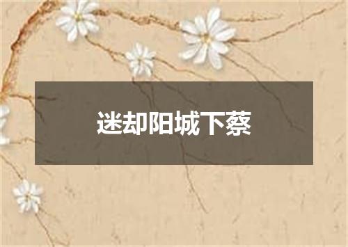 迷却阳城下蔡