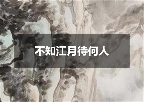不知江月待何人