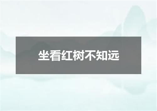坐看红树不知远