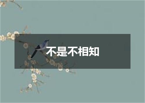 不是不相知