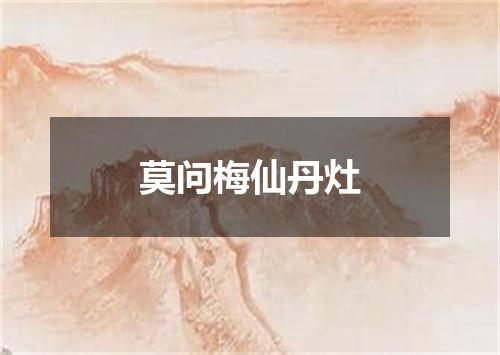 莫问梅仙丹灶