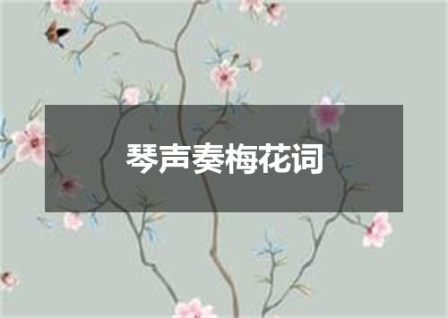 琴声奏梅花词