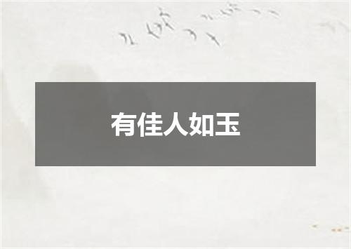 有佳人如玉