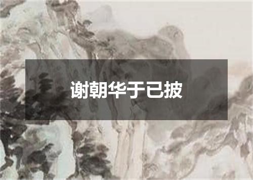 谢朝华于已披