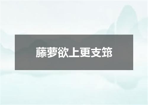 藤萝欲上更支筇