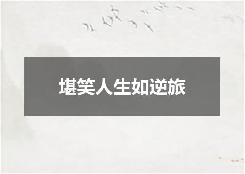堪笑人生如逆旅