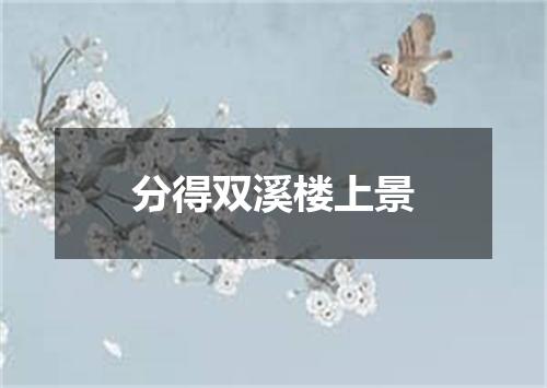 分得双溪楼上景